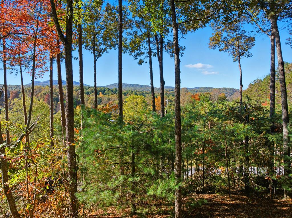 419791 Morganton Residential