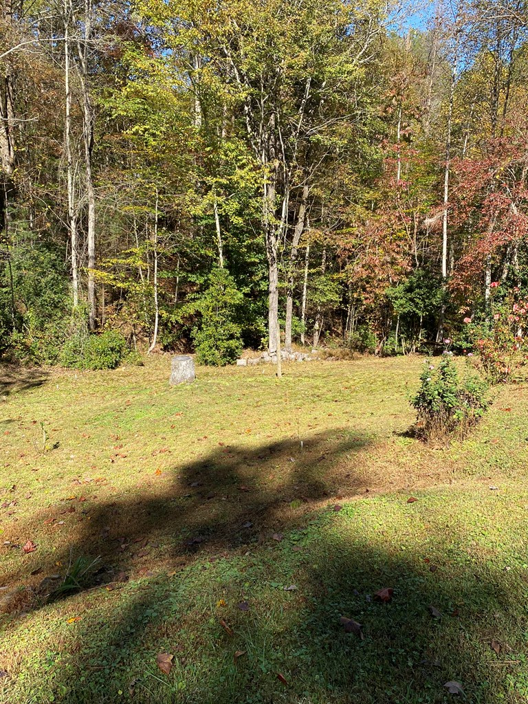 419802 Ellijay Residential