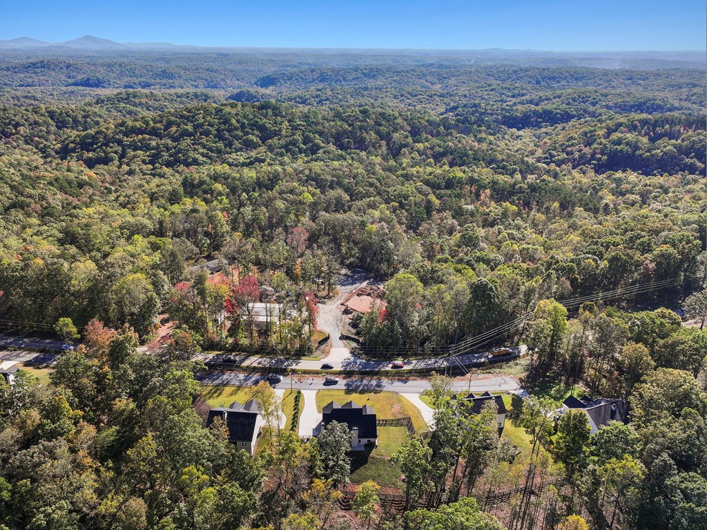 419806 Dahlonega Residential