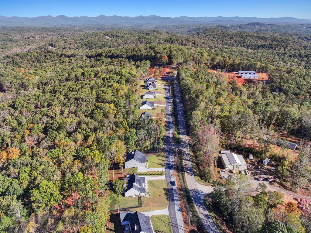 419806 Dahlonega Residential