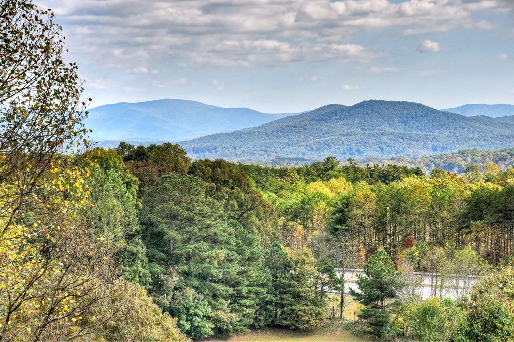 419809 Blairsville Residential