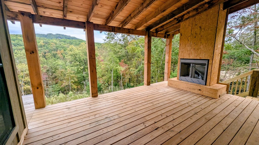 419818 Mineral Bluff Residential