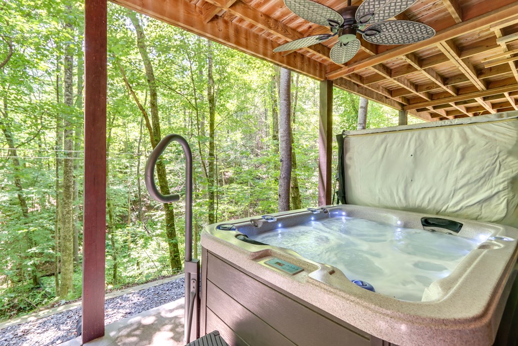 419819 Ellijay Residential