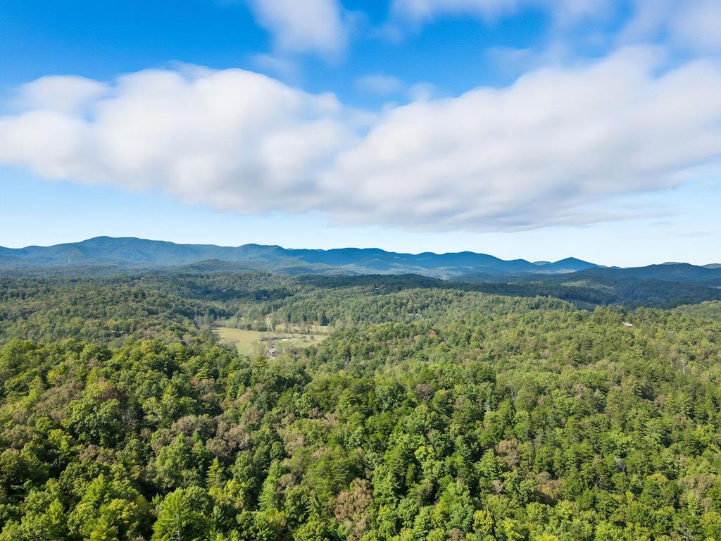 419819 Ellijay Residential