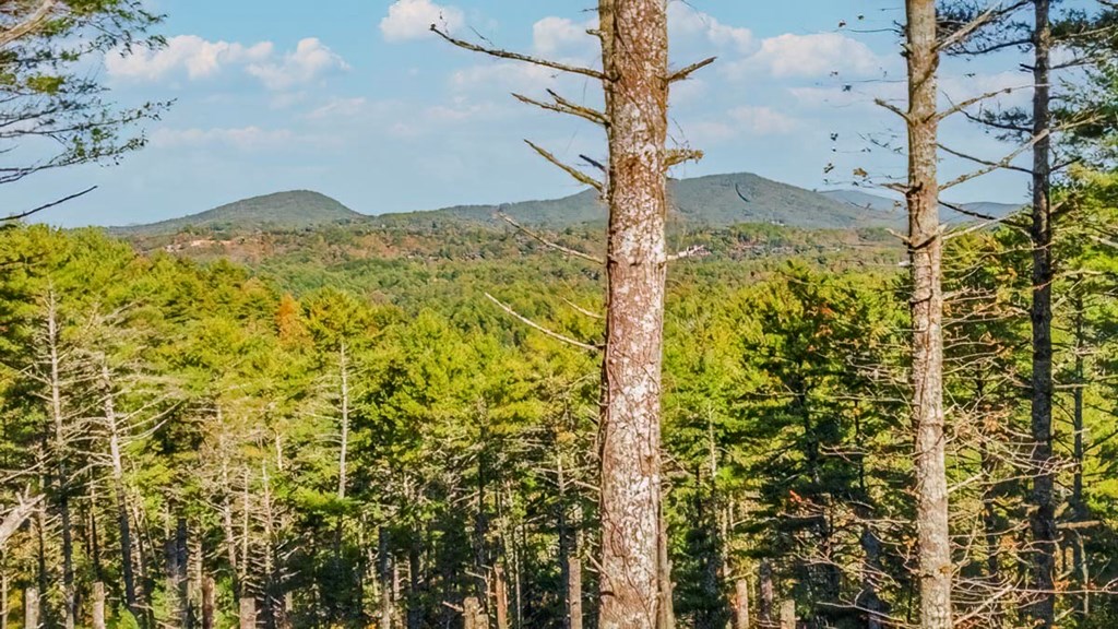 419835 Morganton Residential