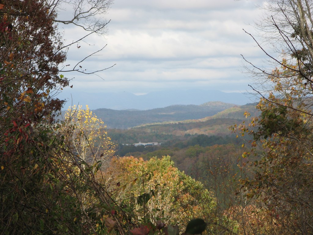 419842 Blue Ridge Residential