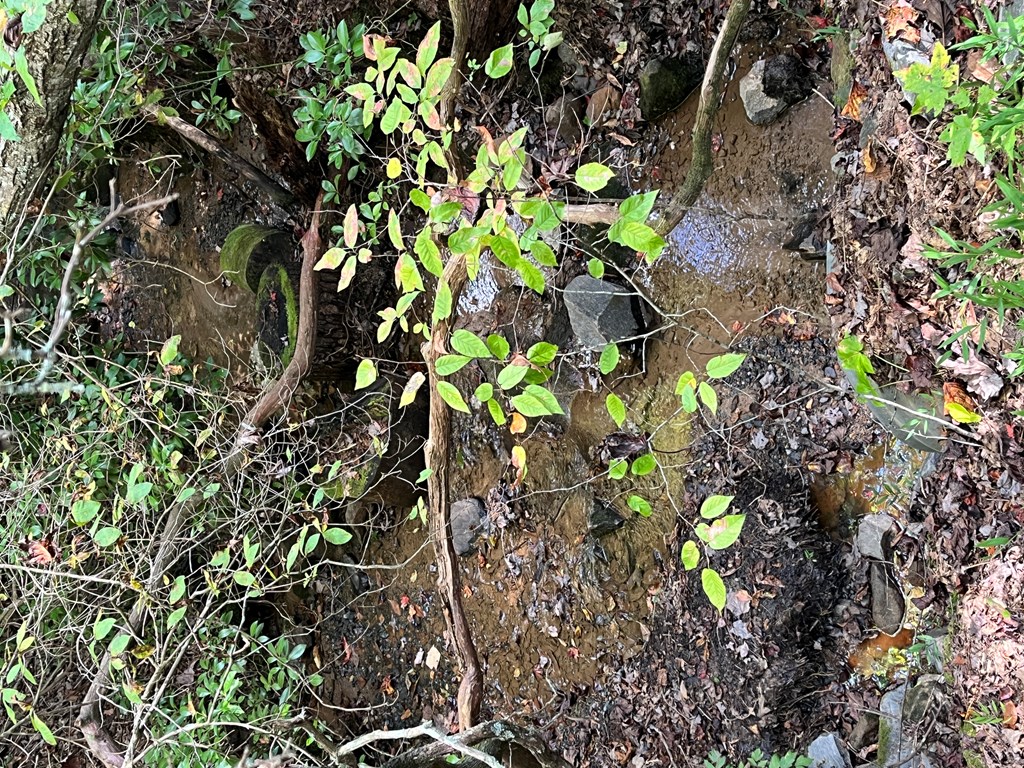 419869 Murphy Residential