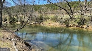 419884 Murphy Residential