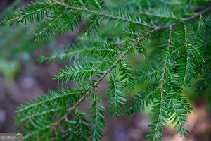 419885 Murphy Residential