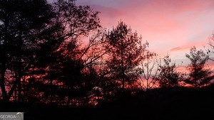 419885 Murphy Residential