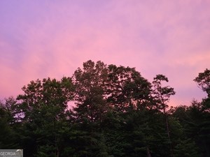 419885 Murphy Residential