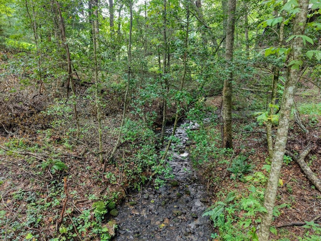 419888 Clayton Residential