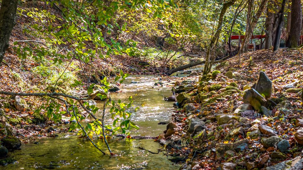 419891 Blue Ridge Residential