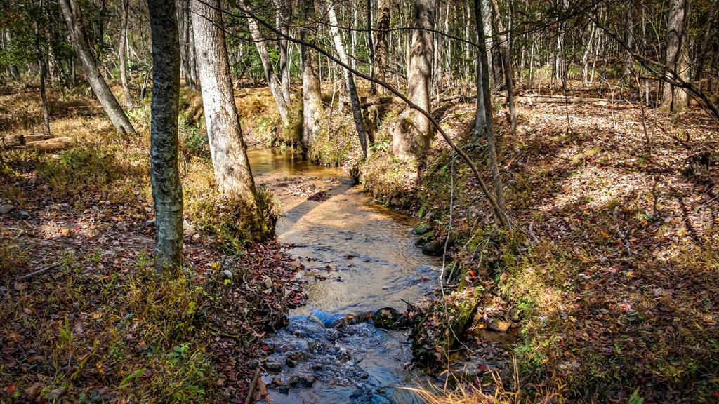 419891 Blue Ridge Residential