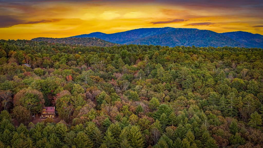 419891 Blue Ridge Residential