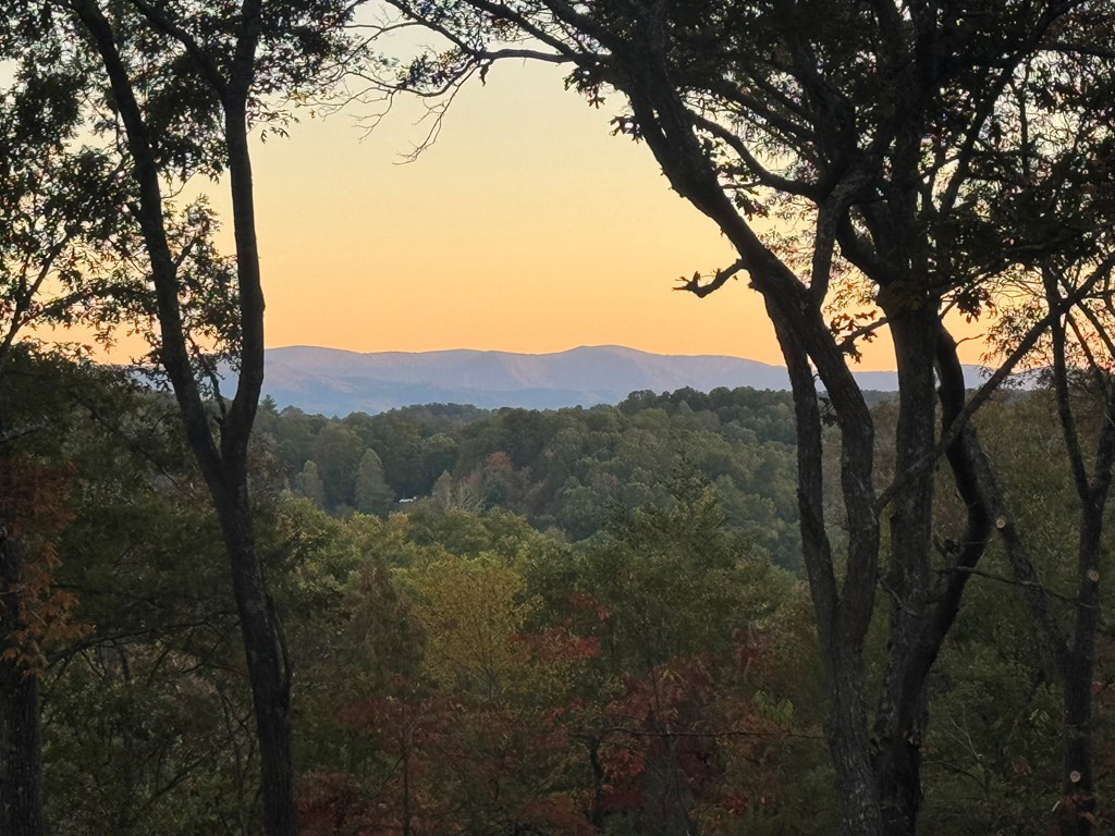 419892 Mineral Bluff Residential