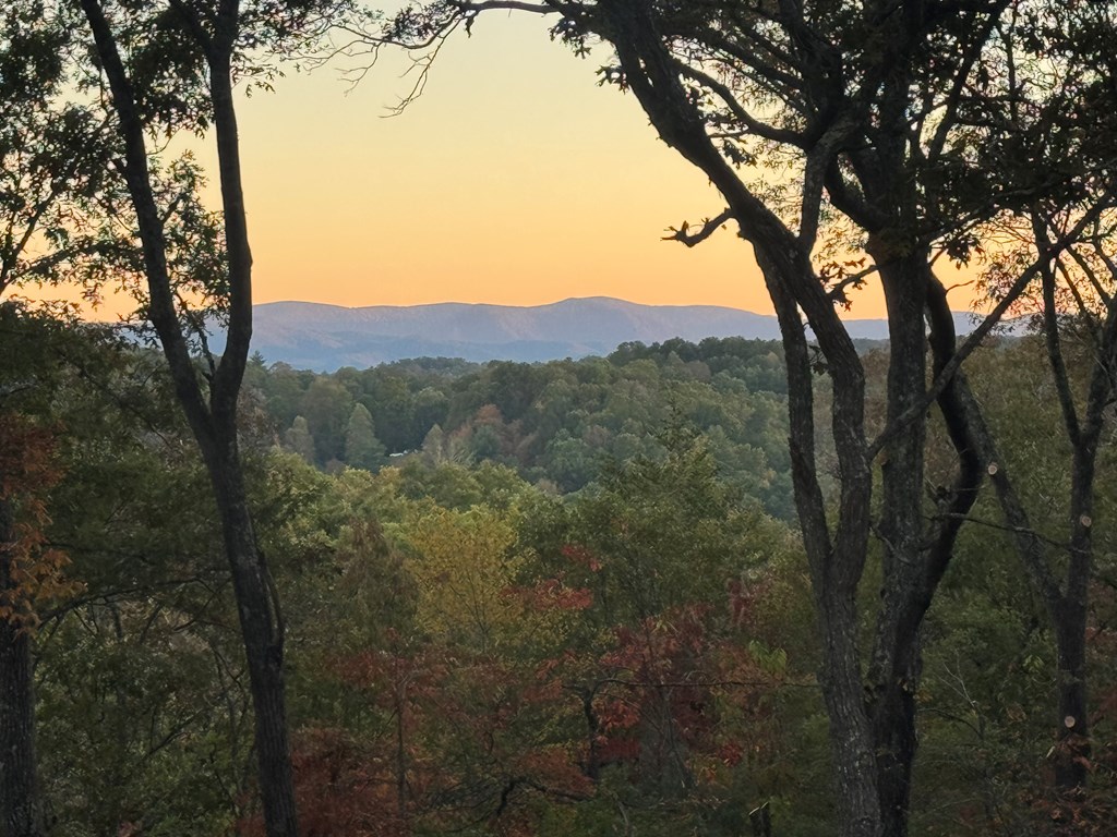 419892 Mineral Bluff Residential