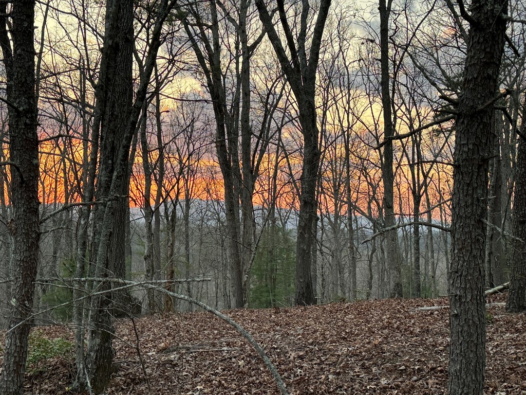 419892 Mineral Bluff Residential