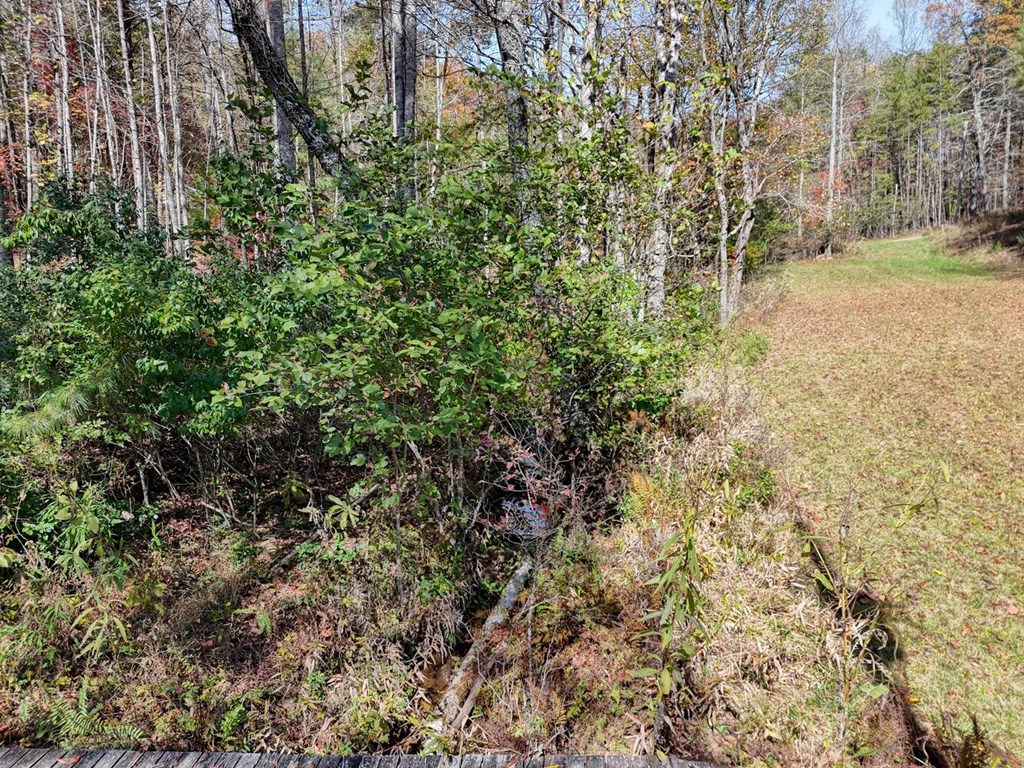 419893 Blue Ridge Residential