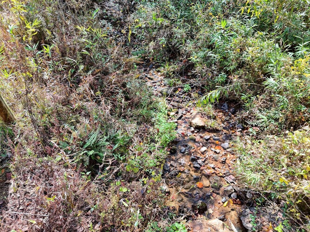 419893 Blue Ridge Residential