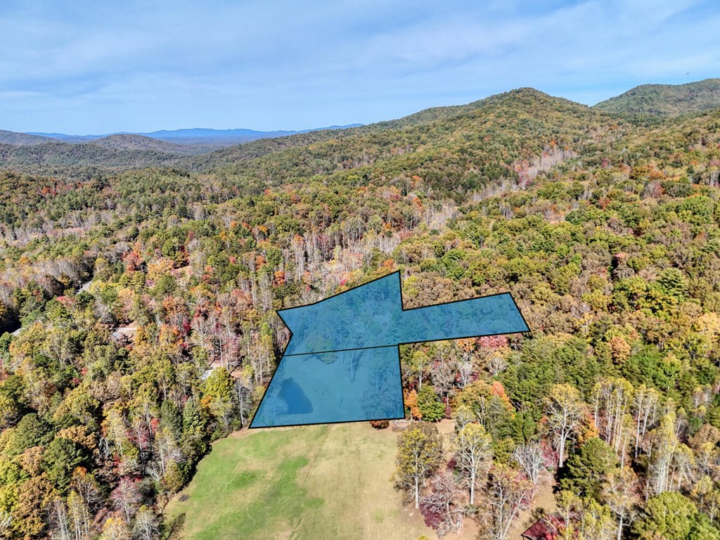 419893 Blue Ridge Residential