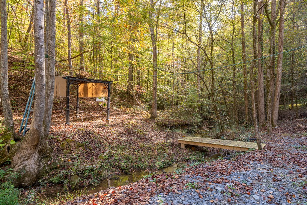 419917 Ellijay Residential