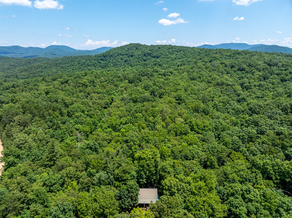 419925 Blue Ridge Residential