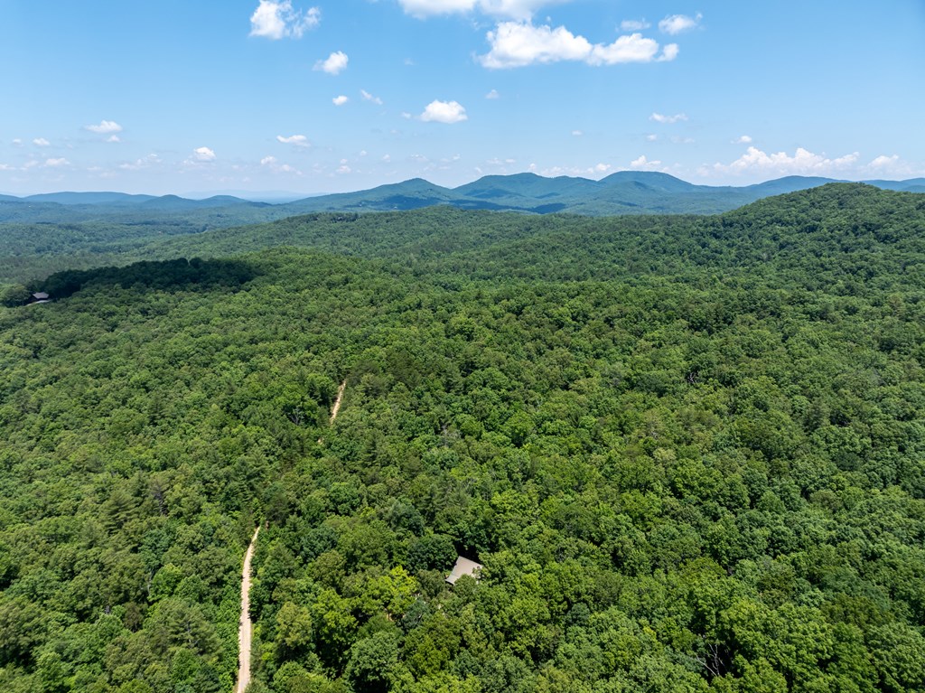 419925 Blue Ridge Residential