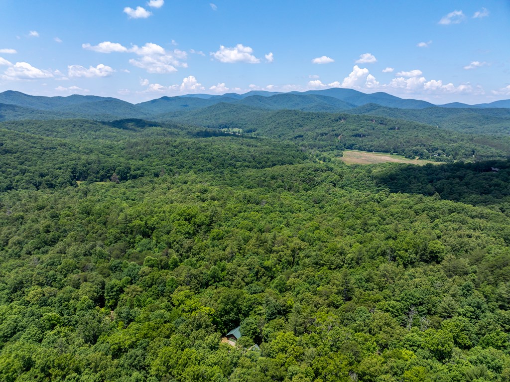 419925 Blue Ridge Residential