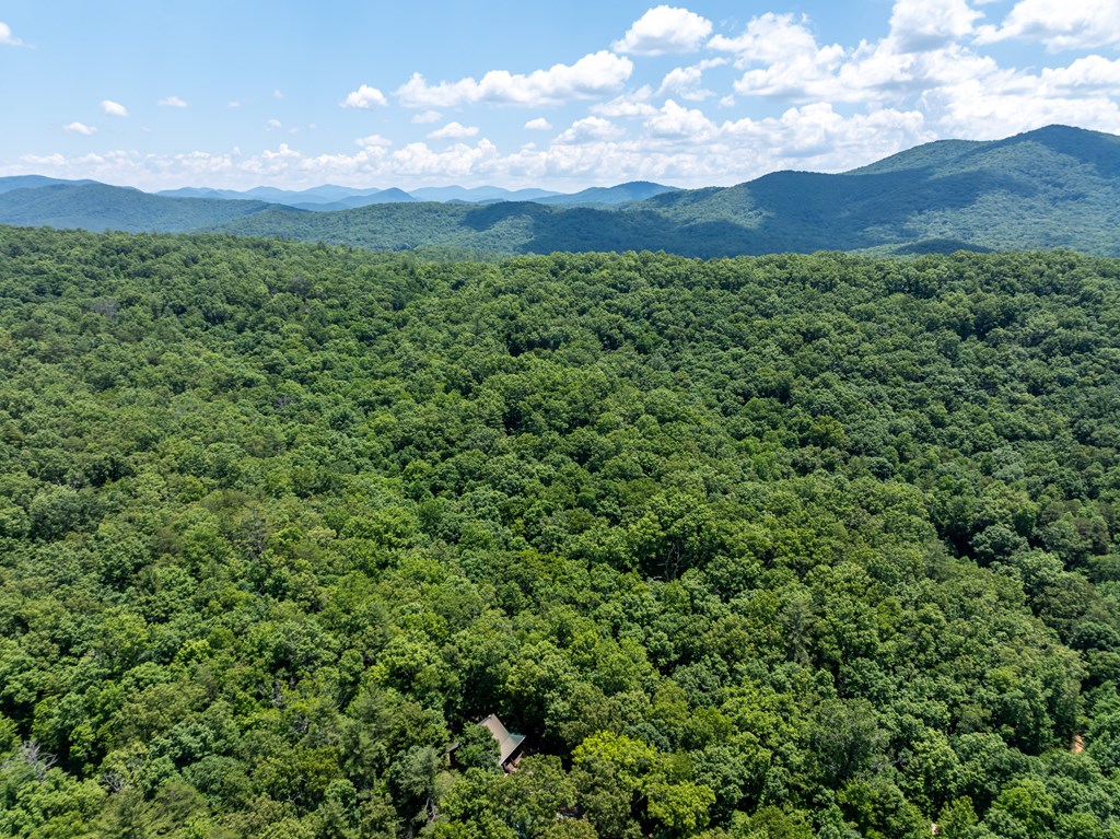 419925 Blue Ridge Residential