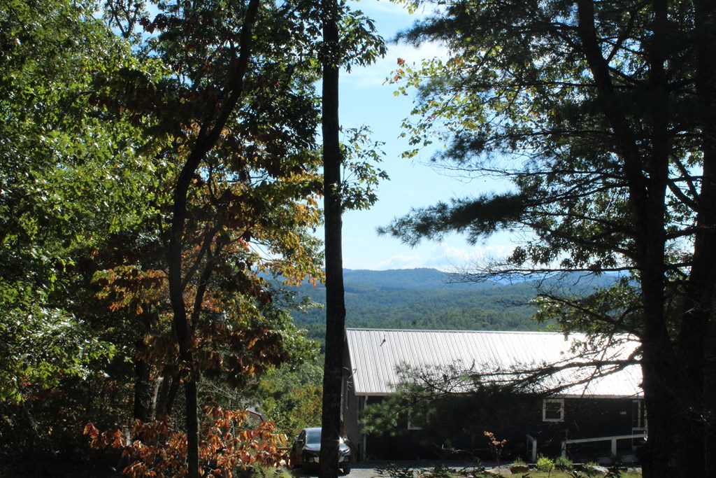 419935 Murphy Residential