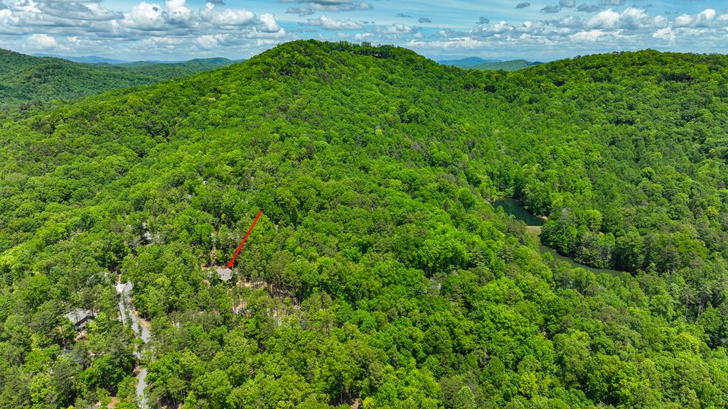 419937 Cherry Log Residential