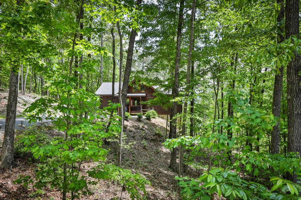 419937 Cherry Log Residential