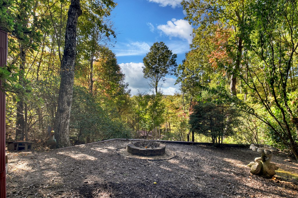 419938 Cherry Log Residential