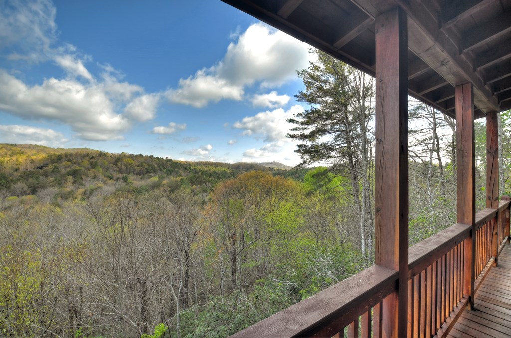 419955 Blue Ridge Residential