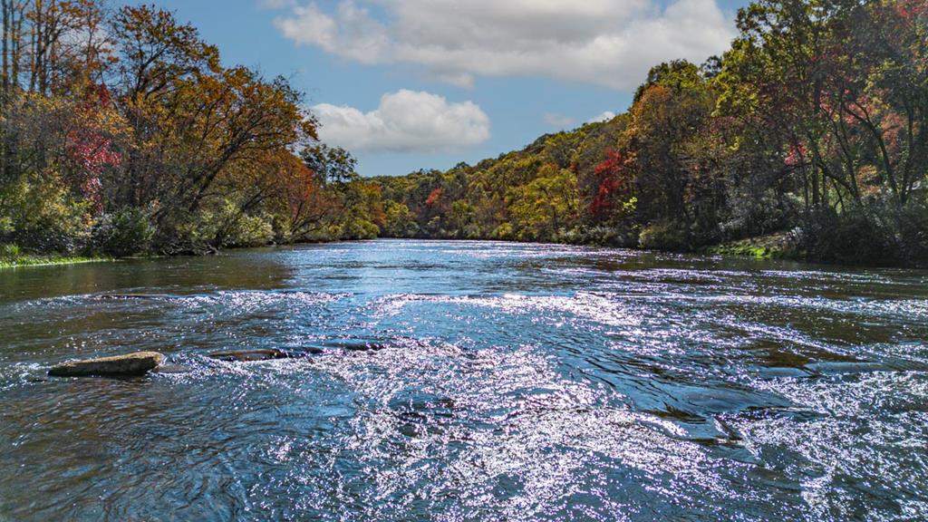 419961 Blue Ridge Residential