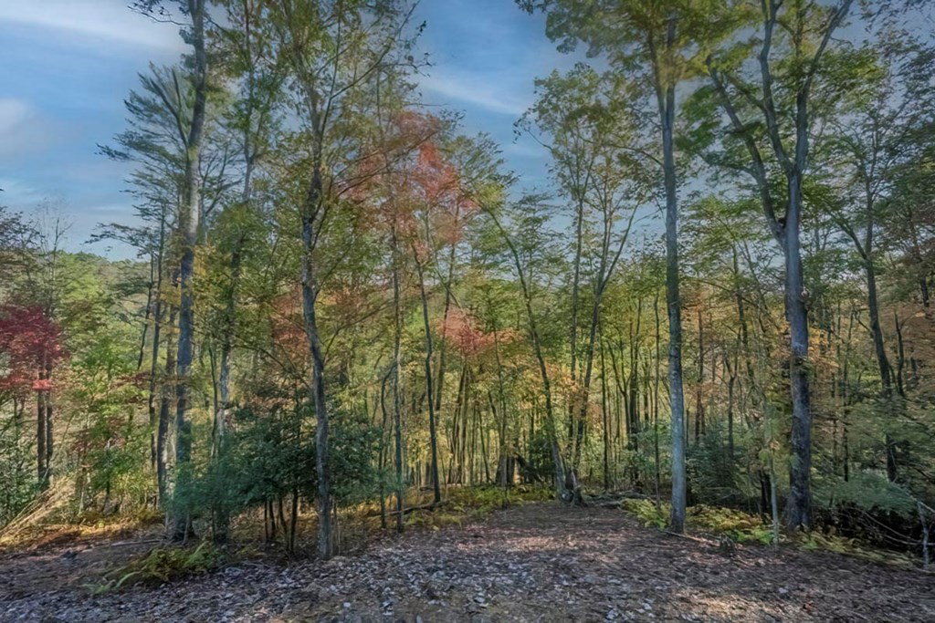 419961 Blue Ridge Residential