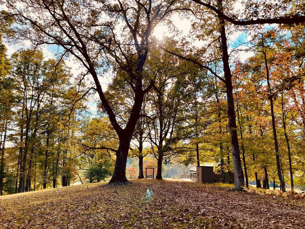 419962 Blue Ridge Residential