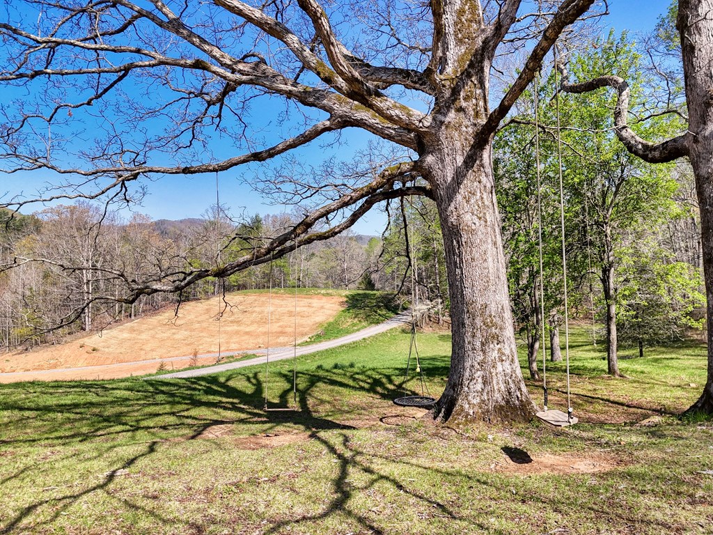 419962 Blue Ridge Residential