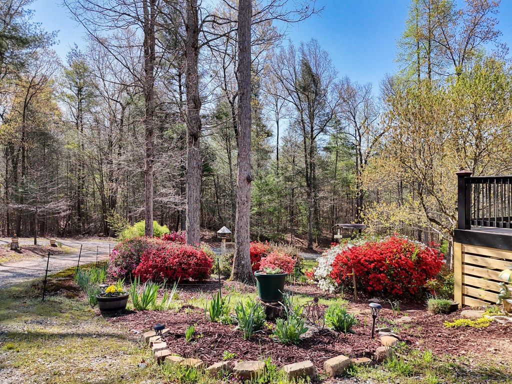 419962 Blue Ridge Residential