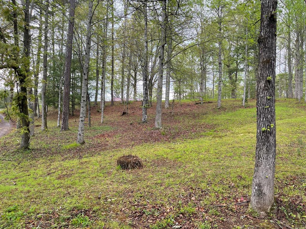 419962 Blue Ridge Residential