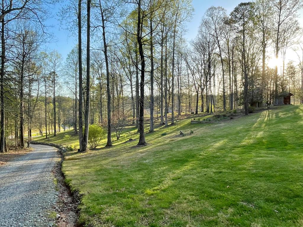 419962 Blue Ridge Residential