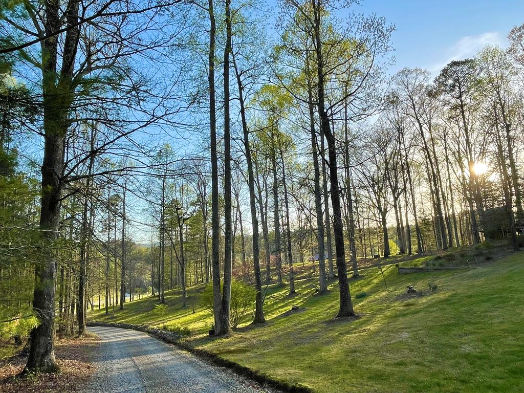 419962 Blue Ridge Residential