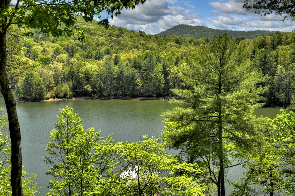 419971 Blue Ridge Residential