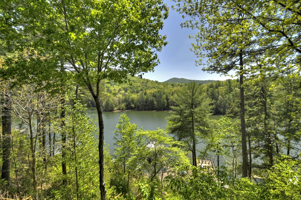 419971 Blue Ridge Residential