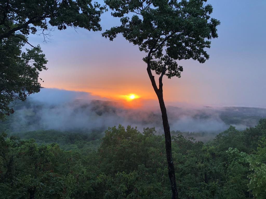 419986 Morganton Residential