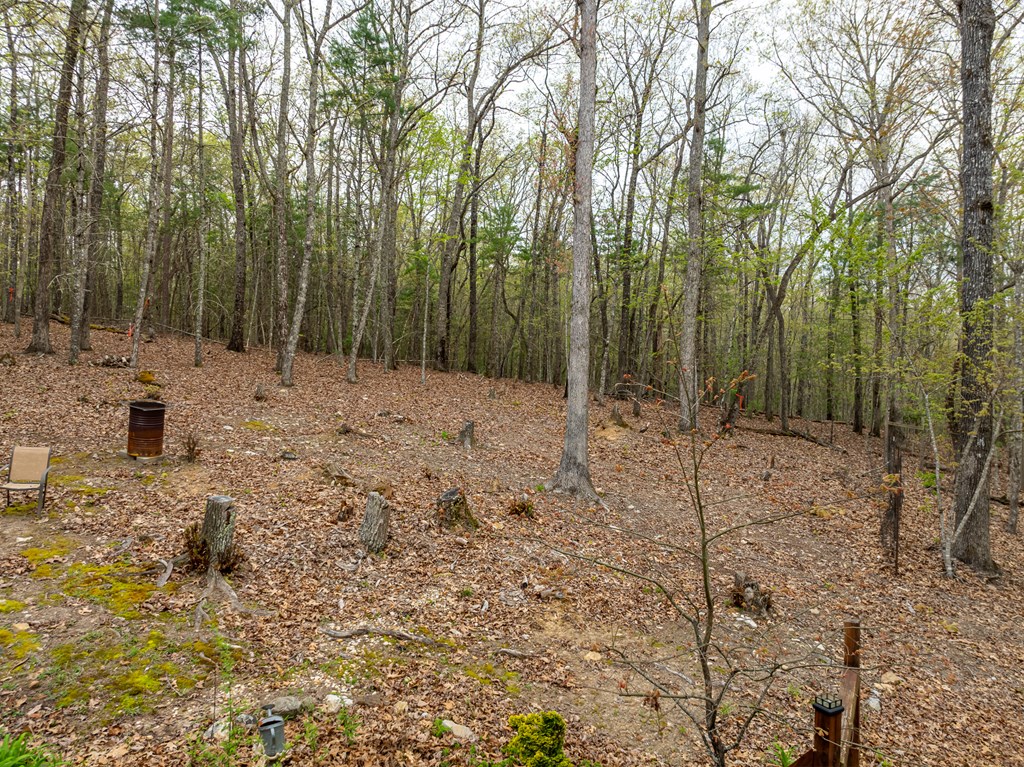 420008 Blairsville Residential