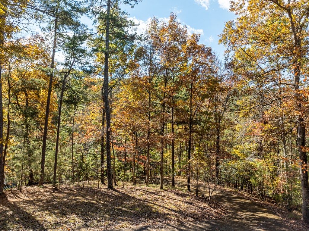 420022 Ellijay Residential