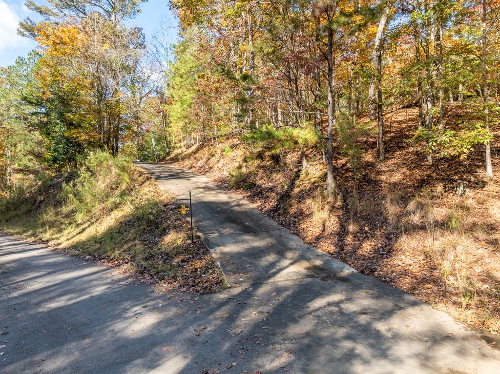 420022 Ellijay Residential