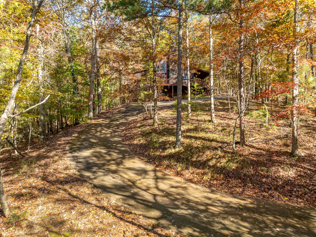 420022 Ellijay Residential